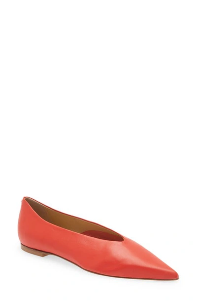 Aeyde Rosa Leather Point-toe Flats In Lava