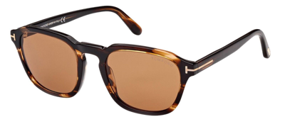 Pre-owned Tom Ford Avery Ft 0931 Havana/brown (56e) Sunglasses