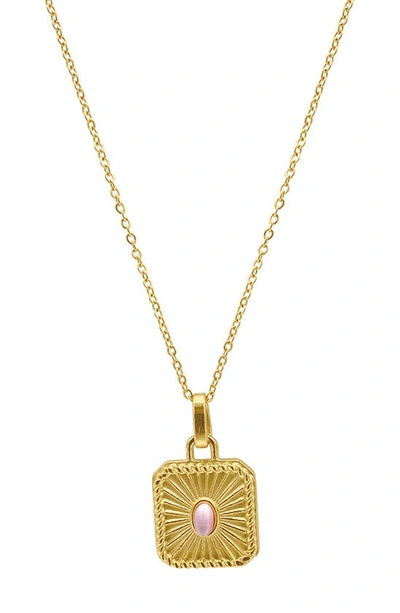 Adornia 14k Yellow Gold Plated Stainless Steel Medallion Tag Pendant Necklace