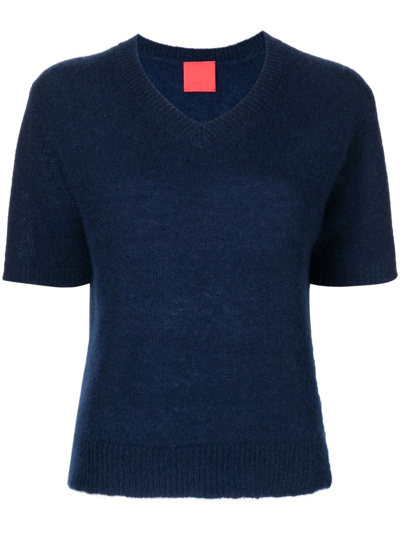 Cashmere In Love V-neck Short-sleeved Knitted Top In Blue