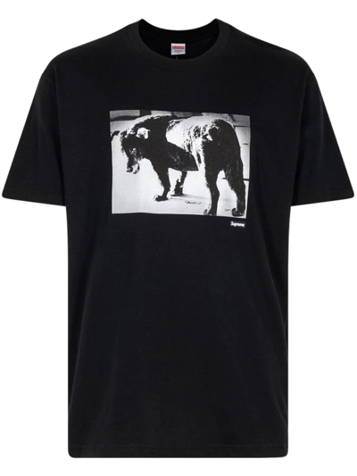 Supreme X Daido Moriyama Dog T-shirt In Black