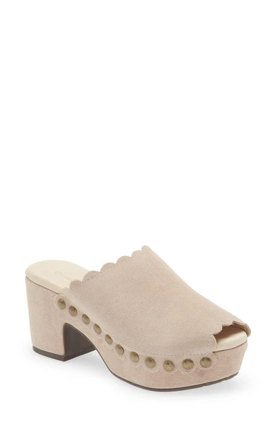 Chocolat Blu Genessis Platform Clog In Cloud Suede