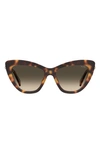 Moschino 54mm Gradient Cat Eye Sunglasses In Tortoise