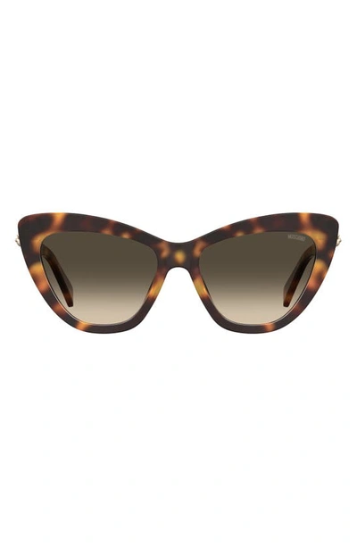 Moschino 54mm Gradient Cat Eye Sunglasses In Tortoise