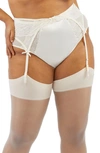 Playful Promises Ellery Lace & Mesh Garter Belt In Rose
