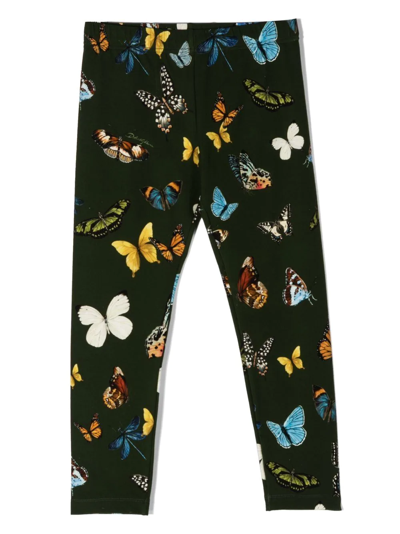 Dolce & Gabbana Kids' All-over Butterfly-print Leggings In Green