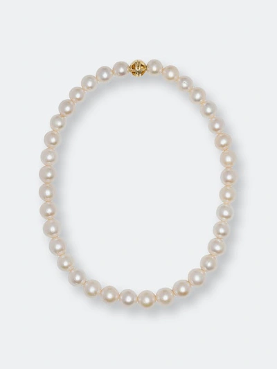 Anine Bing Classic Pearl Choker In Gold In 14k Gold