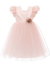 Tulleen Floral-appliqué Tulle Dress In Pink