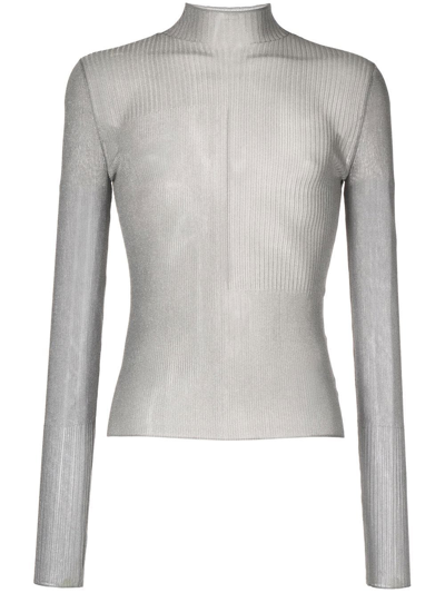 Dion Lee Sheer Ribbed Nylon Long Sleeve T-shirt In Silver