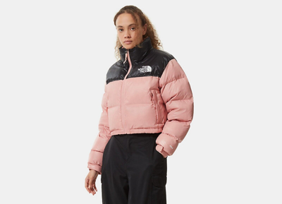 Pre-owned The North Face Women's North Face Nuptse Jacket In Rose Tan - Size Medium 12/14