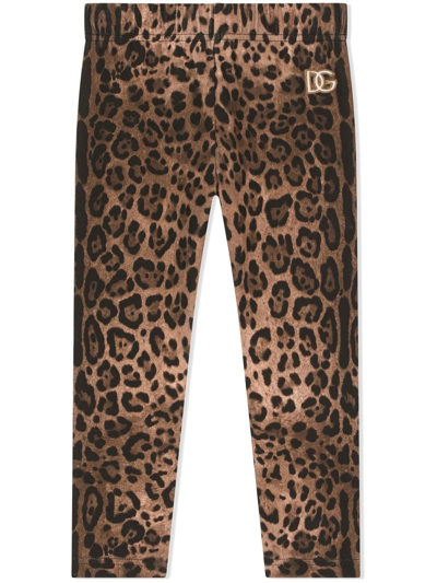 Dolce & Gabbana Kids' Leopard Print Cotton Leggings W/ Logo In Black,brown