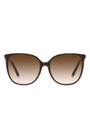 Tiffany & Co 57mm Gradient Square Sunglasses In Havana Blue/ Brown Gr