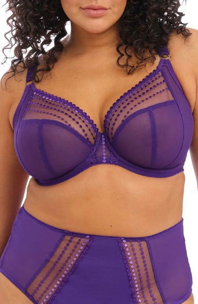 Elomi Matilda Full Figure Underwire Plunge Bra In Iris