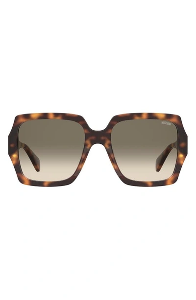 Moschino 56mm Gradient Square Sunglasses In Havana 2 / Green Shaded