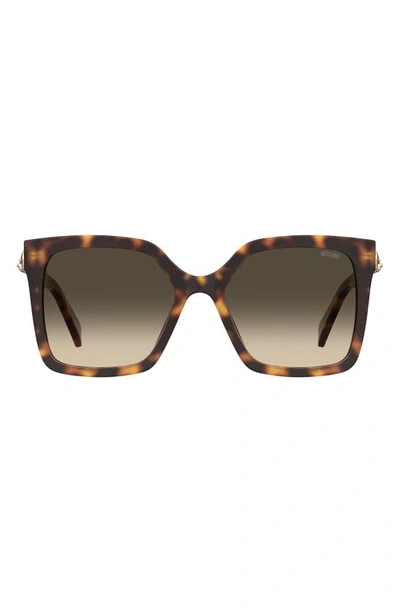 Moschino 55mm Gradient Square Sunglasses In Tortoise