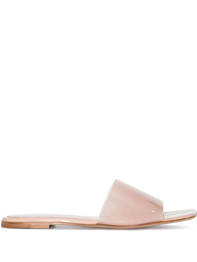 Gianvito Rossi Semi-transparent Flat Sandals In Pink