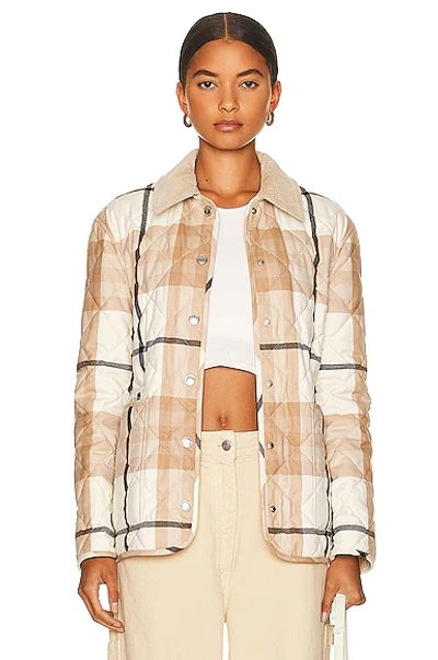 Burberry Dranefeld Check Down Jacket In Frosted White Check