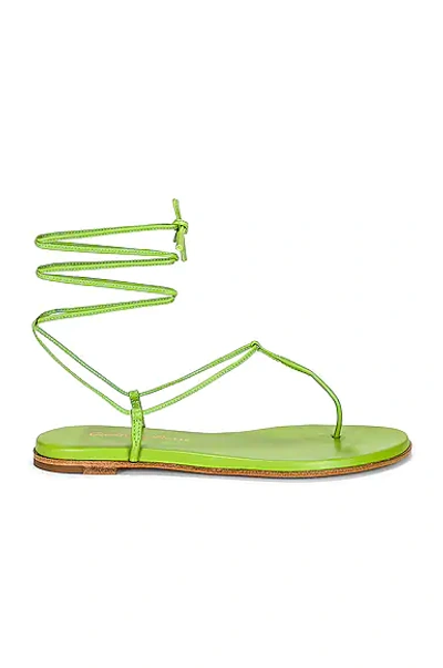 Gianvito Rossi Gwyneth Sandals In Kiwi