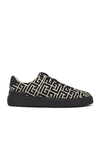 Balmain Black Low Top Sneakers In Noir & Ivoire