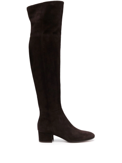 Gianvito Rossi Boots Rolling Mid Boot Suede In Brown