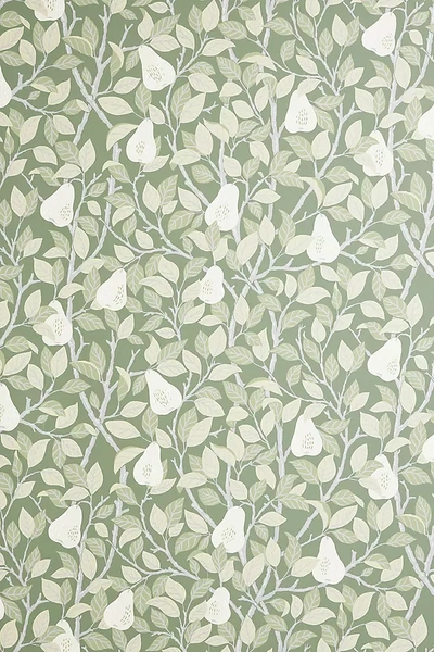 A-street Prints Pirum Pear Wallpaper In Green