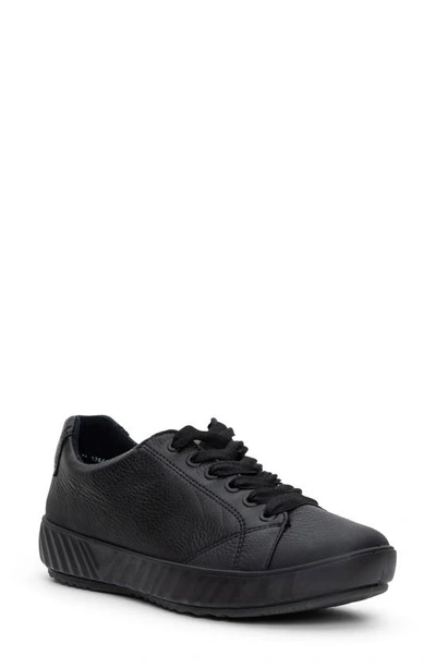 Ara Alexandria Suede Sneaker In Black