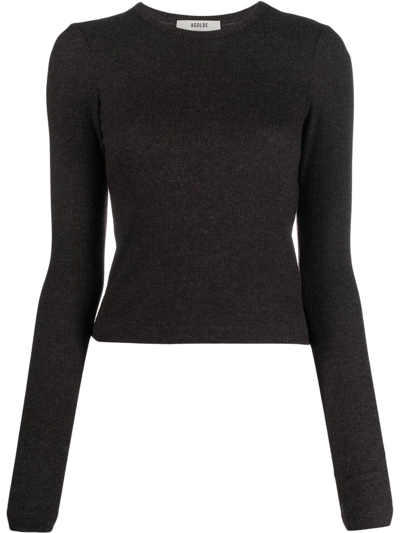 Agolde Alma Shrunken Rib Knit Long Sleeve Tee In Pasha