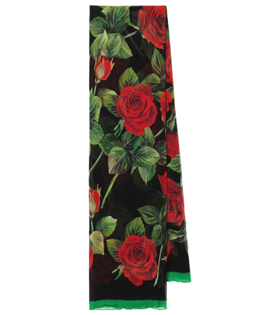 Dolce & Gabbana Rose-print Contrast-border Scarf In Blue