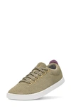 Allbirds Tree Pipers Sneaker In Hazy Beige/ Blizzard