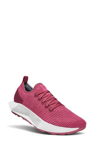 Allbirds Tree Flyer Running Shoe In Lux Pink