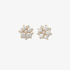 Sydney Evan 14kt Yellow Gold Cocktail Disc Diamond Stud Earrings In Gold