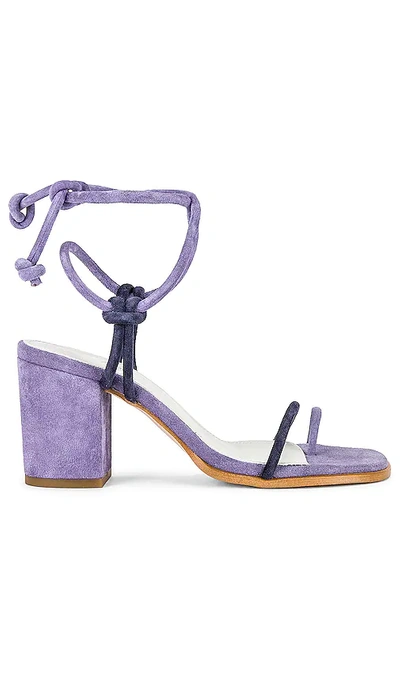 Alohas Toe Strap Sandals In Purple