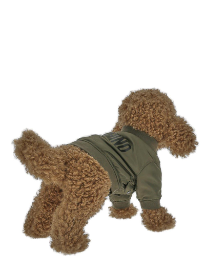 Moschino Logo Printed Dog Bomber Jacket In Green