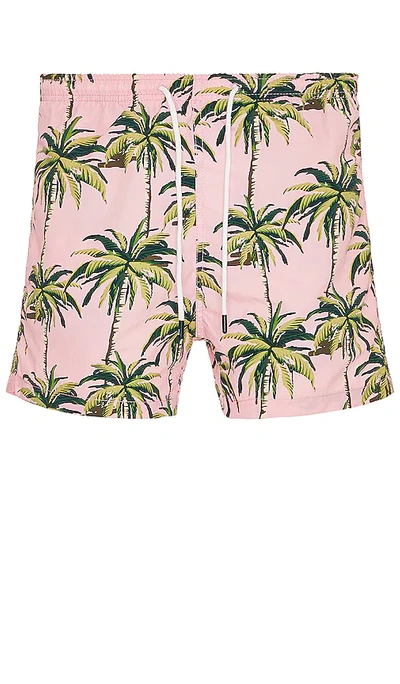 Solid & Striped The Classic Swim Shorts In Palm Tree Print