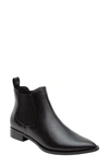 Linea Paolo Zoey Pointed Toe Chelsea Boot In Black