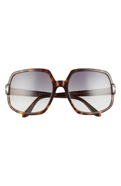 Tom Ford Delphine 60mm Gradient Sunglasses In Dark Havana / Blue