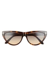 Tom Ford Amber 56mm Cat Eye Sunglasses In Brown