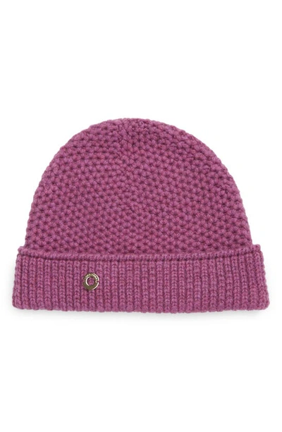 Loro Piana Rougemont Reversible Cashmere Beanie In Purple Daisy Mel