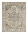 Surya Brunswick Bwk-2320 Area Rug, 2' X 3' In Beige/sage