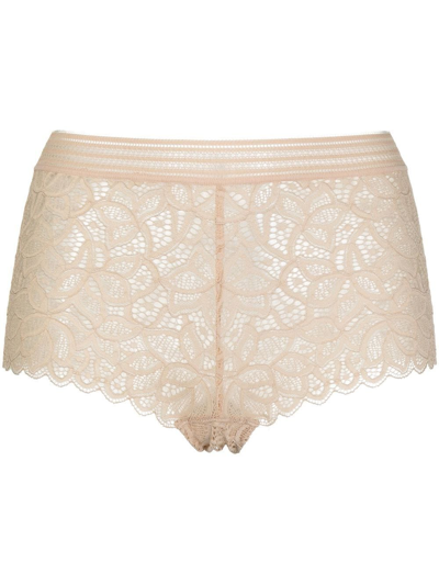 Wacoal Raffine Lace Briefs In Neutrals