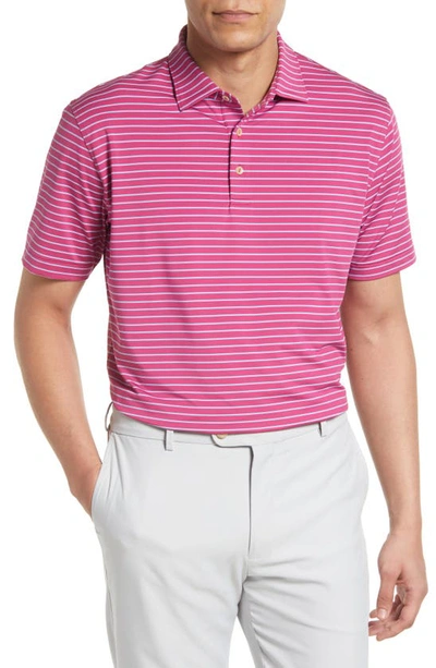 Peter Millar Drum Performance Jersey Polo In Raspberry Sorbet