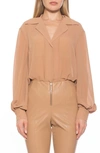 Alexia Admor Mila Collared Blouse In Nude