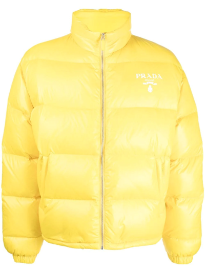 Prada Chest Logo-print Padded Jacket In Yellow
