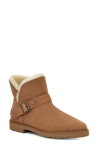 Ugg Romely Short Buckle Boot In Brown