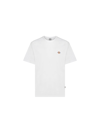 Dickies Di Ss Mapleton T-shirt In White