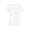 Max Mara Park Logo Jersey T-shirt In White