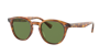 Oliver Peoples Unisex Sunglasses Ov5454su Desmon Sun In Vibrant Green