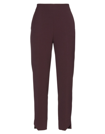 Beatrice B Beatrice .b Woman Pants Chocolate Brown Size 4 Polyester, Elastane