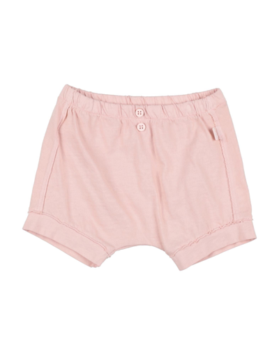 Teddy & Minou Kids'  Newborn Girl Shorts & Bermuda Shorts Pink Size 3 Cotton
