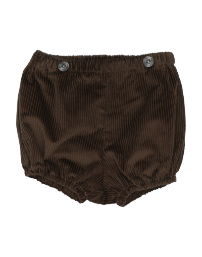 Aletta Kids'  Newborn Boy Shorts & Bermuda Shorts Brown Size 3 Cotton